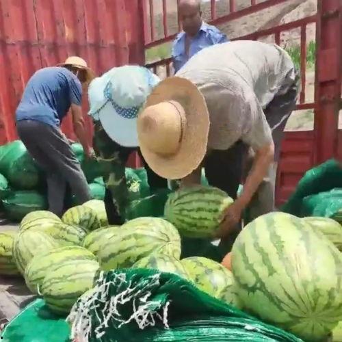 莱芜区吃瓜最新事件爆料,揭秘背后惊人真相！